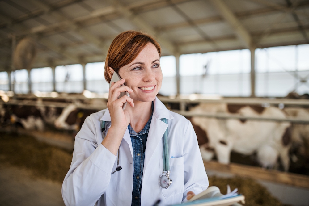 La dietologa degli animali al lavoro